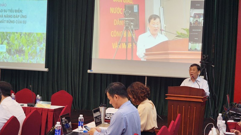 Lượng cung cao su từ tiểu điền dự kiến sẽ tiếp tục ổn định trong những năm tới