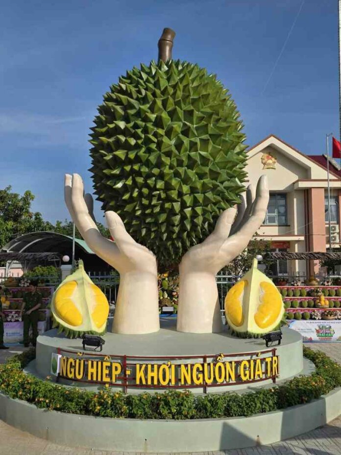 Sầu riêng Ngũ Hiệp có nhãn hiệu tập thể: Cơ hội vàng nâng tầm giá trị
