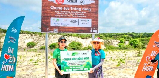 Lưu nháp tự động