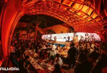 Palmora Nguyễn Cư Trinh: “Ốc Đảo” Entertainment Dining Độc Bản Giữa Lòng Quận 1
