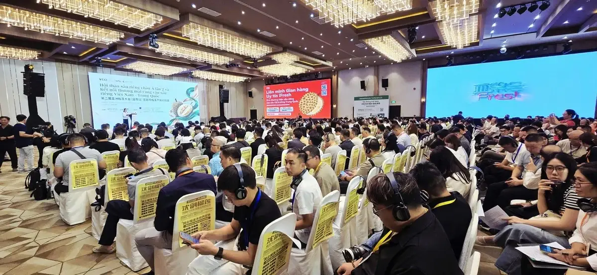 Chuẩn hóa chuỗi cung ứng giúp sầu riêng Việt nâng sức cạnh tranh tại thị trường Trung Quốc
