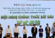 Chuẩn hóa chuỗi cung ứng giúp sầu riêng Việt nâng sức cạnh tranh tại thị trường Trung Quốc Chuẩn hóa chuỗi cung ứng giúp sầu riêng Việt nâng sức cạnh tranh tại thị trường Trung Quốc