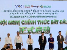 Chuẩn hóa chuỗi cung ứng giúp sầu riêng Việt nâng sức cạnh tranh tại thị trường Trung Quốc Chuẩn hóa chuỗi cung ứng giúp sầu riêng Việt nâng sức cạnh tranh tại thị trường Trung Quốc