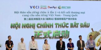 Chuẩn hóa chuỗi cung ứng giúp sầu riêng Việt nâng sức cạnh tranh tại thị trường Trung Quốc