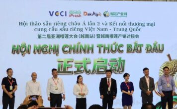 Chuẩn hóa chuỗi cung ứng giúp sầu riêng Việt nâng sức cạnh tranh tại thị trường Trung Quốc Chuẩn hóa chuỗi cung ứng giúp sầu riêng Việt nâng sức cạnh tranh tại thị trường Trung Quốc