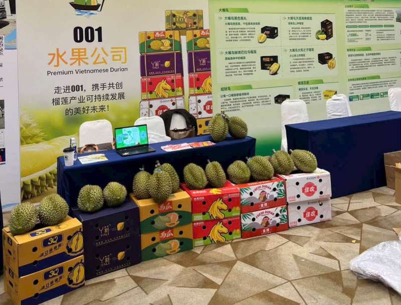 Chuẩn hóa chuỗi cung ứng giúp sầu riêng Việt nâng sức cạnh tranh tại thị trường Trung Quốc