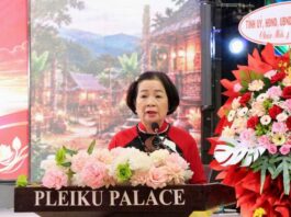 Bà Nguyễn Thị Sen tái đắc cử Chủ tịch Hiệp hội Doanh nghiệp Gia Lai Bà Nguyễn Thị Sen tái đắc cử Chủ tịch Hiệp hội Doanh nghiệp Gia Lai