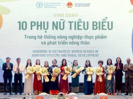 Ngày Lương thực thế giới 2026: Đưa đổi mới sáng tạo vào sản xuất lúa gạo bền vững Ngày Lương thực thế giới 2026: Đưa đổi mới sáng tạo vào sản xuất lúa gạo bền vững