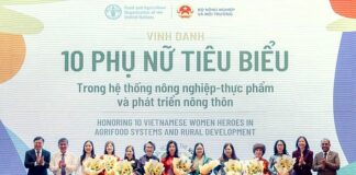 Ngày Lương thực thế giới 2026: Đưa đổi mới sáng tạo vào sản xuất lúa gạo bền vững