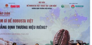 Robusta Việt Nam tìm lời giải cho bài toán thương hiệu