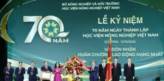Lưu nháp tự động