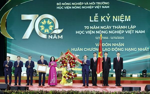 c30f87bc-a4e7-414c-ba74-6f748b03aa07.jpeg Lưu nháp tự động